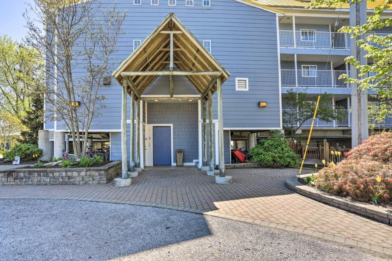 Waterfront Middle Bass Condo With Pool Access! 普廷贝 外观 照片